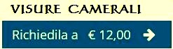  VISURA CAMERALE ONLINE